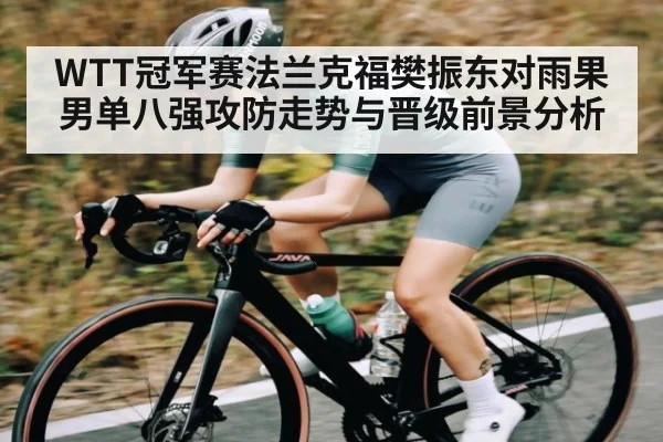 WTT冠军赛法兰克福樊振东对雨果男单八强攻防走势与晋级前景分析